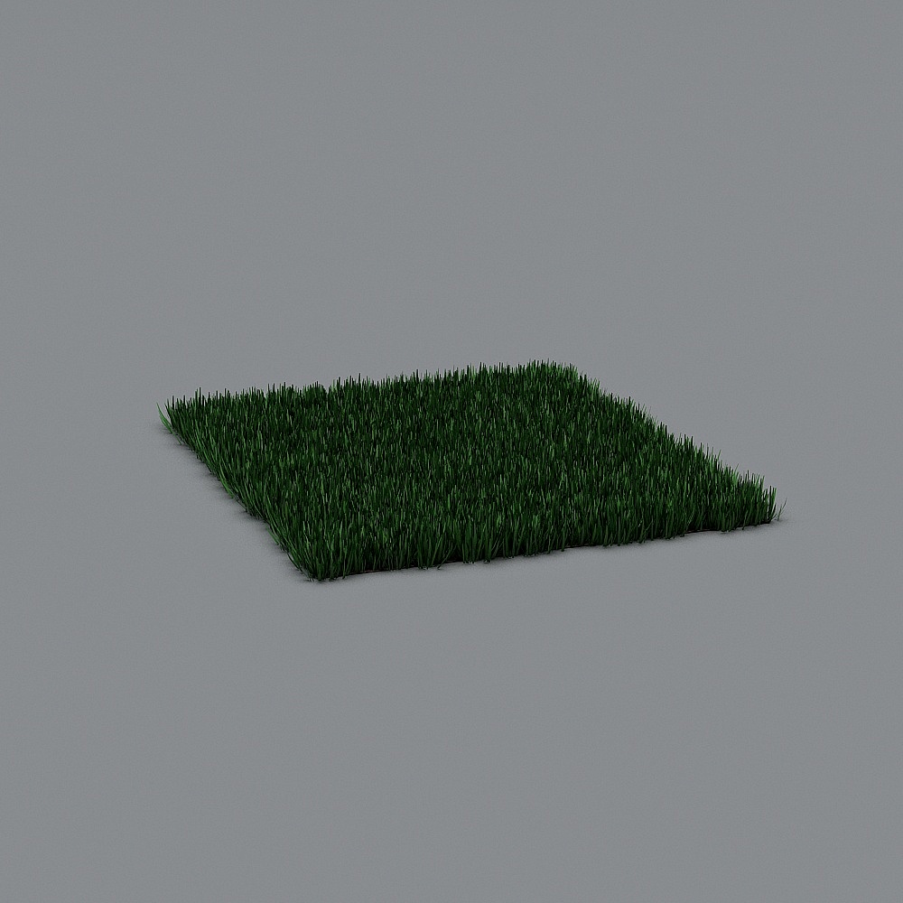 Grass+by+Sonti+W.