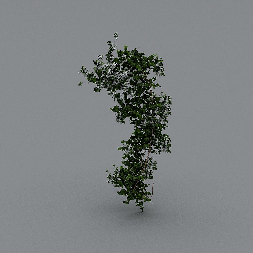 Vine Plant 3D Model - Nature's Beauty in Modern Design