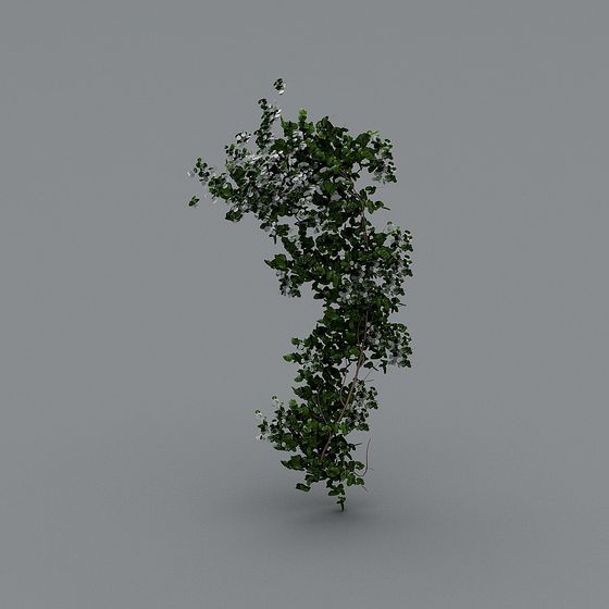 Vine Plant 3D Model - Nature's Beauty in Modern Design