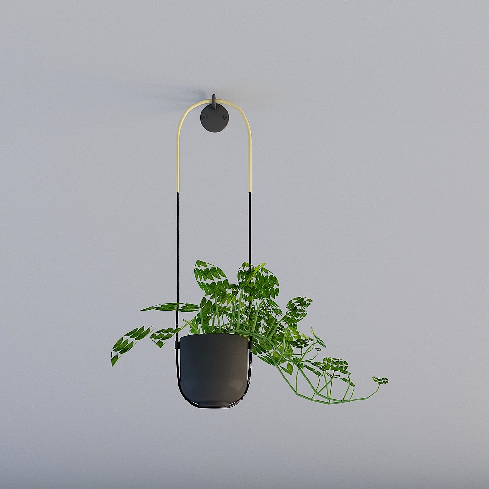 Hängende Pflanzen 4 Stück