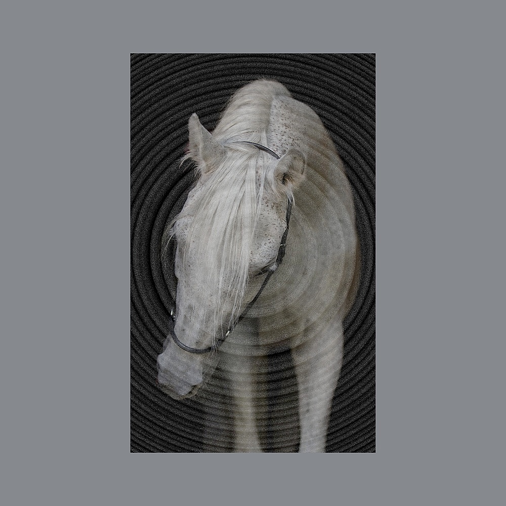 ไม่มีชื่อ (1)