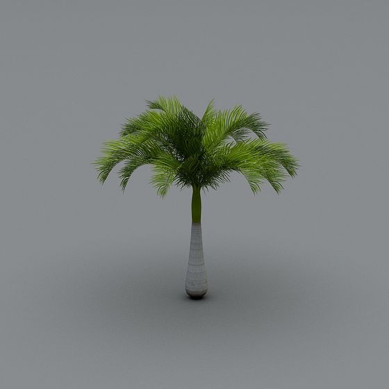 Low-Poly Palm Tree 3D Model with High Detail