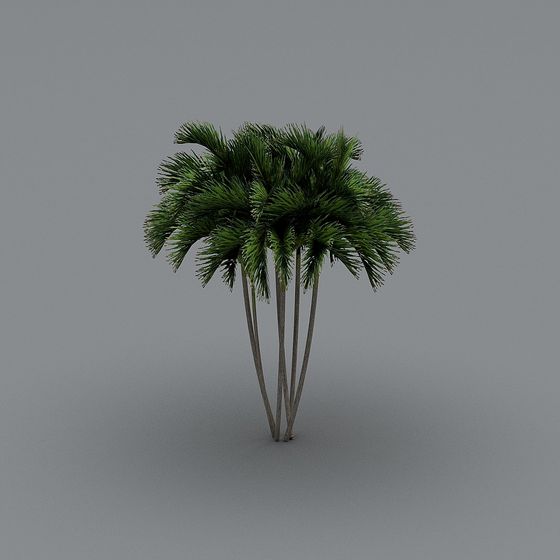 Tropical Palm Tree Cluster 3D model