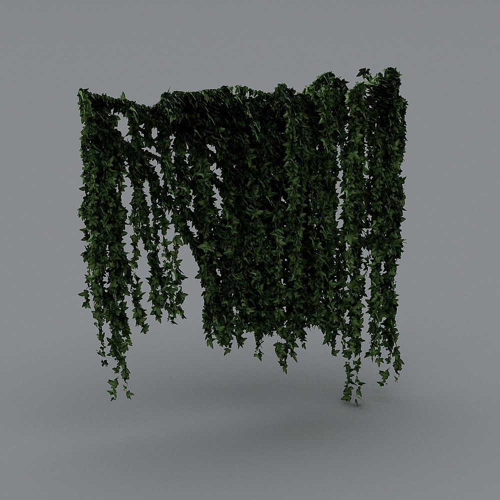 Hanging Vine Wall 3D model