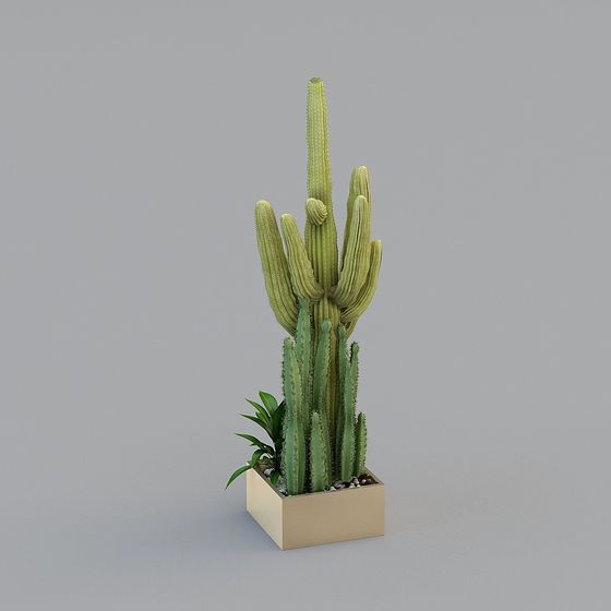 Vibrant Cactus 3D model for Desert Aesthetics