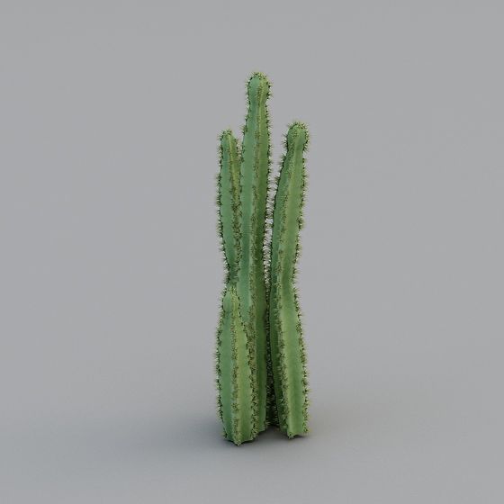 Vibrant Cactus 3D Model for Creative Projects