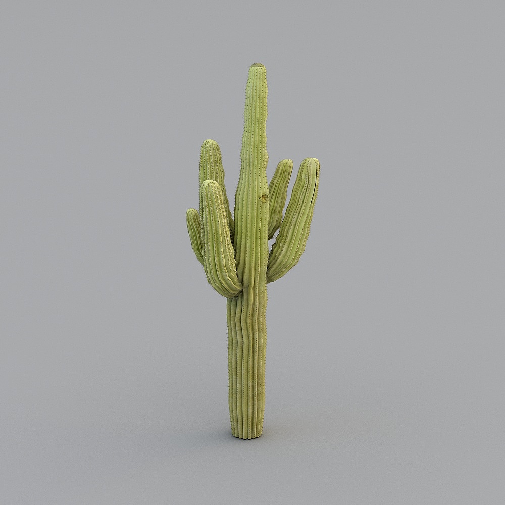 Cool house music-a milk tea shop fruit shop-b38-7