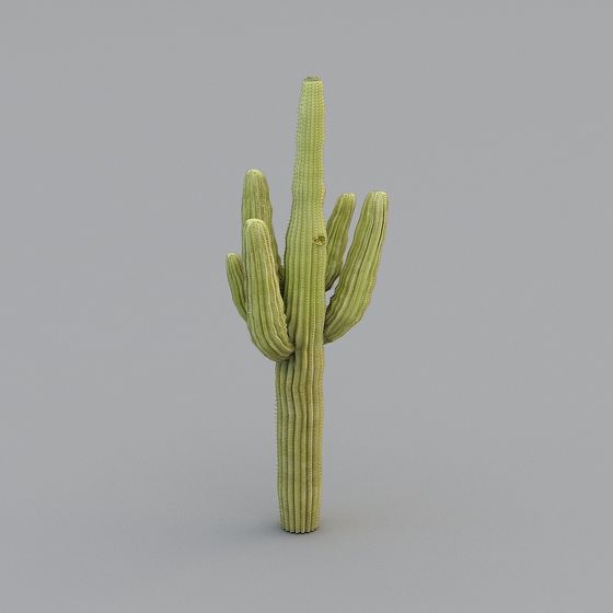 Vibrant Cactus 3D Model in Desert Environment