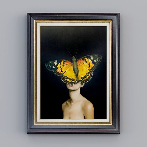 Butterfly Shadow 3D model