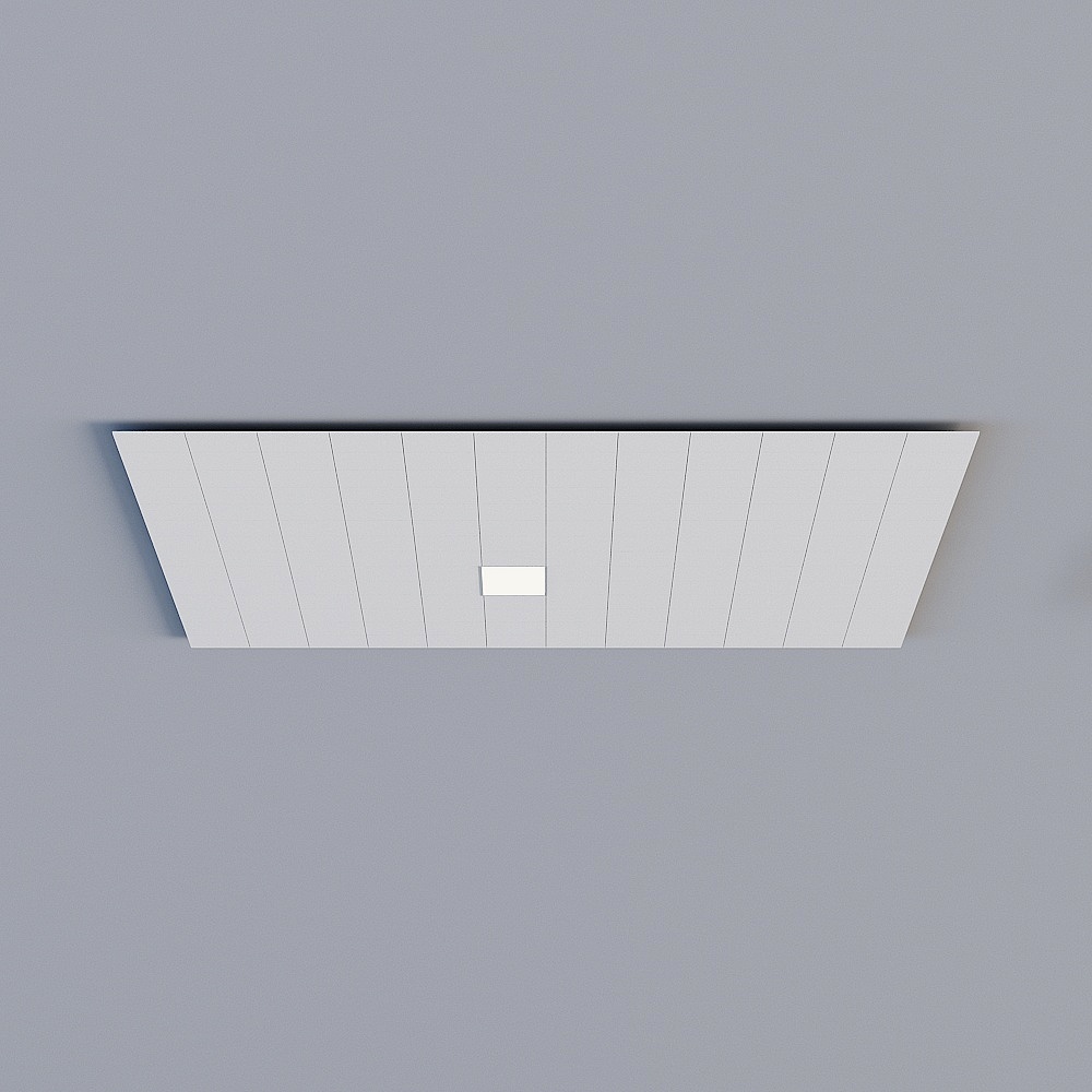 Zhufaner A2 kitchen ceiling