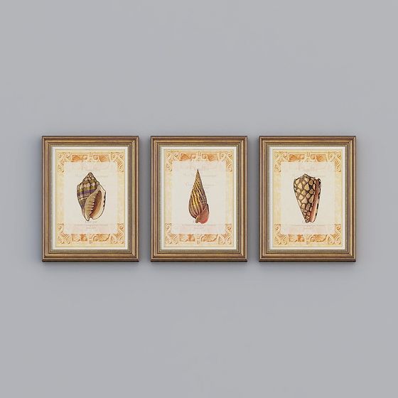 Shell Frame 3D Model Series for Art and Design