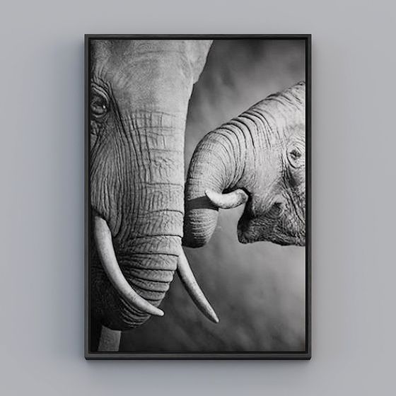 Elephant's Warmth 3D Model