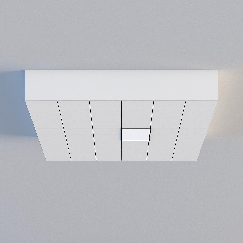 Soffitto della Cucina