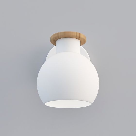 Elegant Minimalist 3D Model Light Fixture
