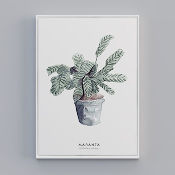 Low Poly Maranta Plant Pot 3D model