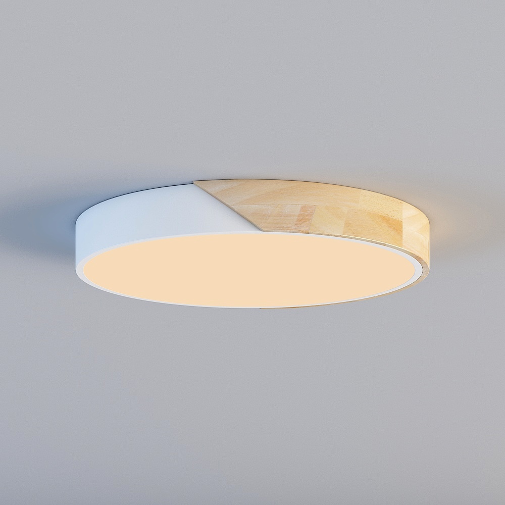 Ceiling light