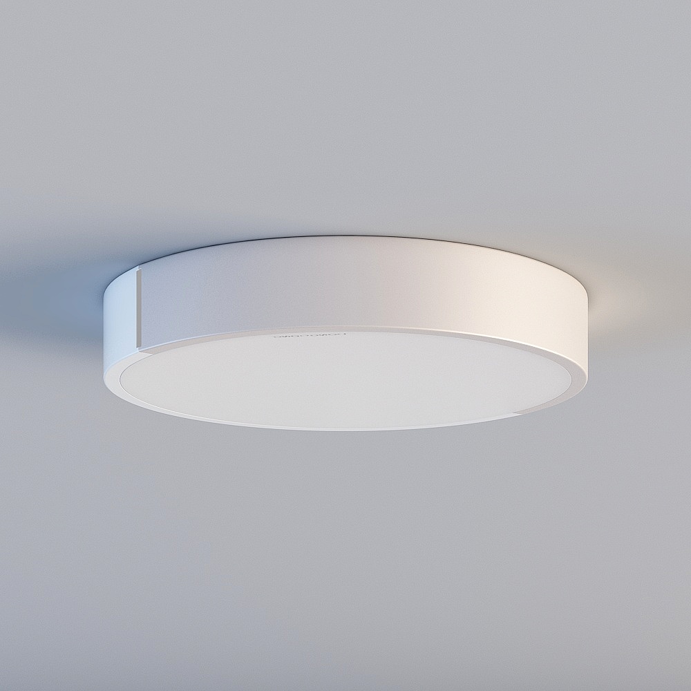 Ceiling light