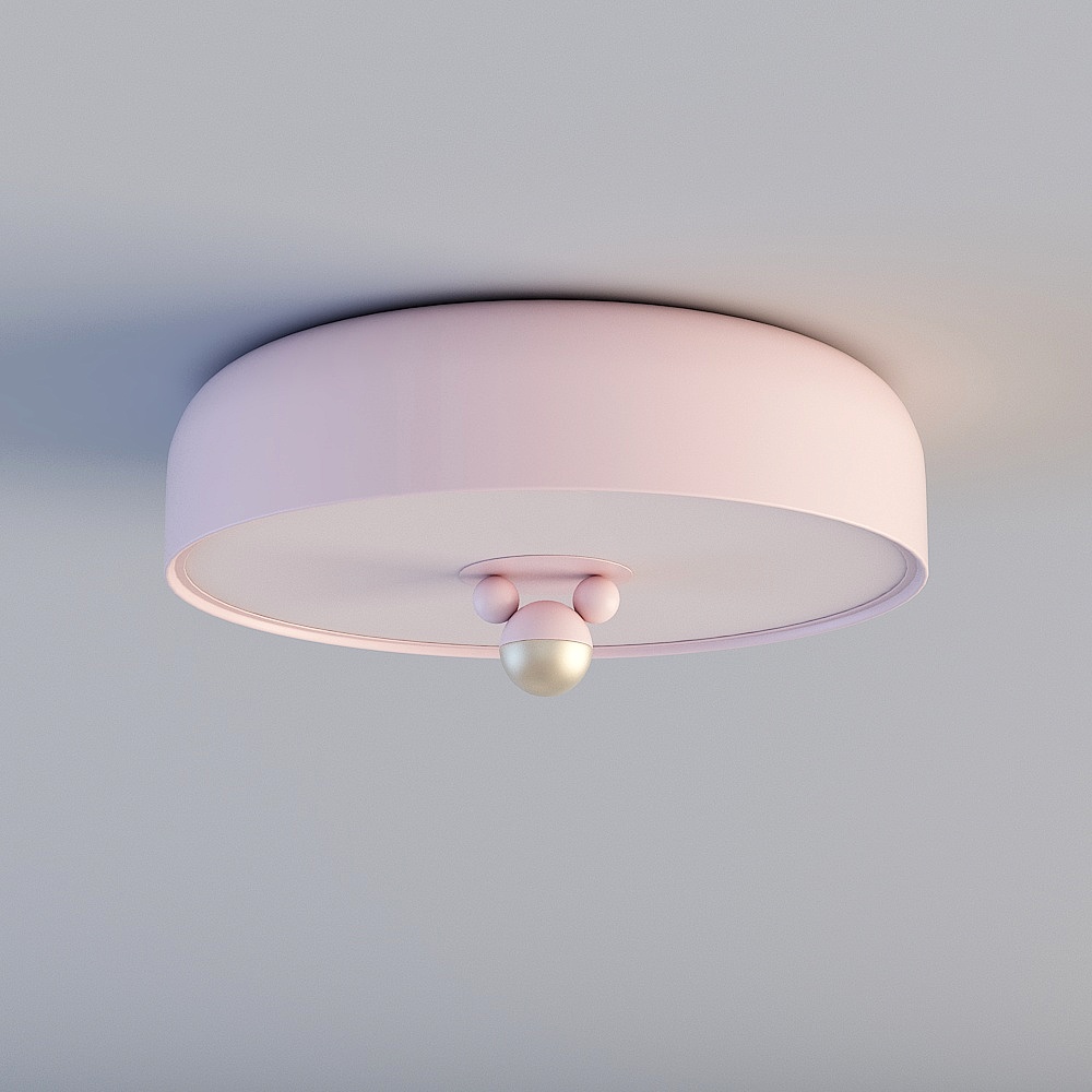 Ceiling light