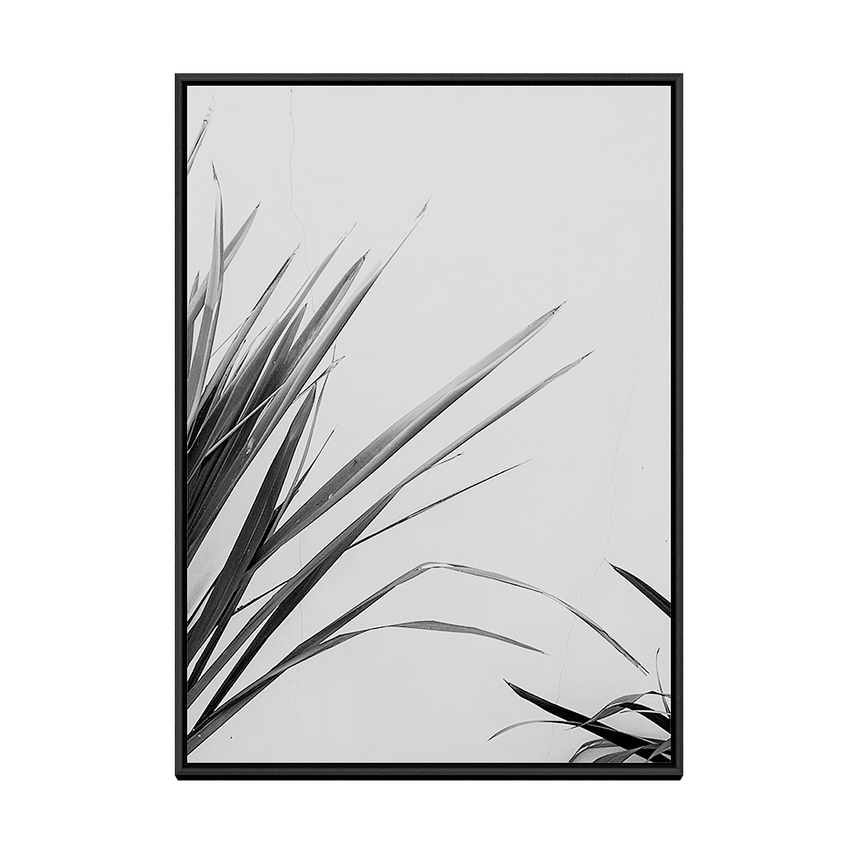 Modern Black Picture & Photo Frames 3D Model