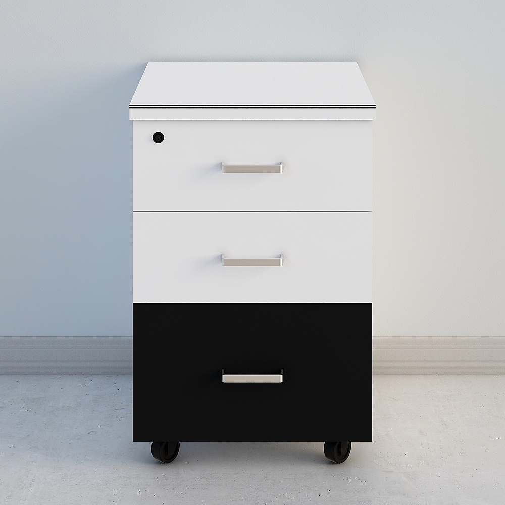 ตู้เก็บของขาวดำ 2