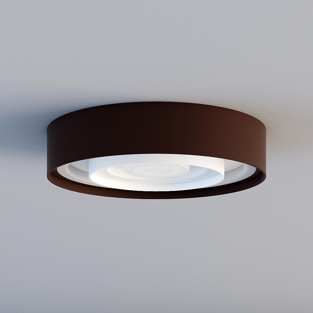 Ceiling light