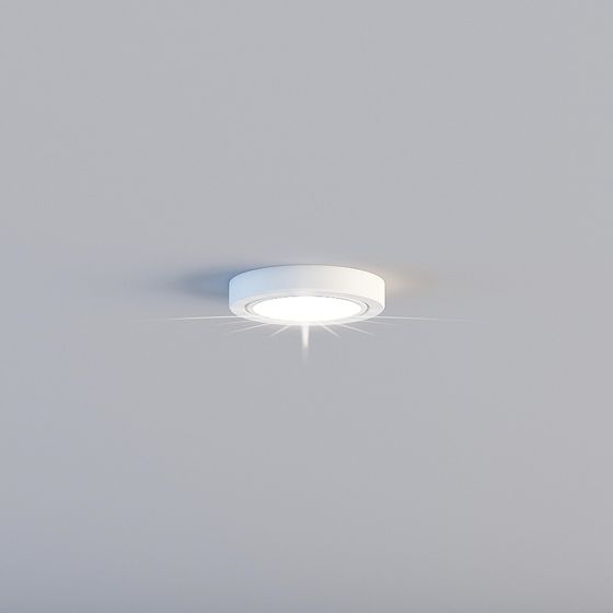 Sunburst Ceiling Light 3D model