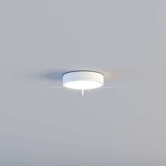 Stylish Ceiling Light Fixture 3D model