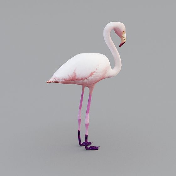Graceful Flamingo Low-Poly 3D Model