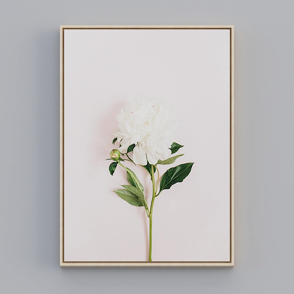 Painting Alliance - Nordic Color - Single - Decorative Painting - CB017