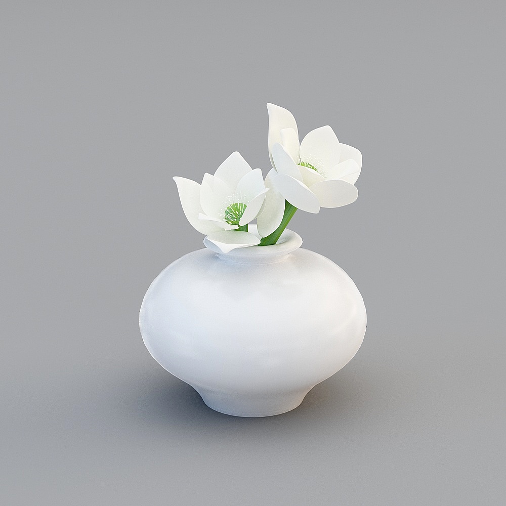 Jewelry 1 white plants vase