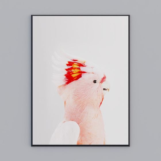 Vibrant Pink and White Parrot 3D model