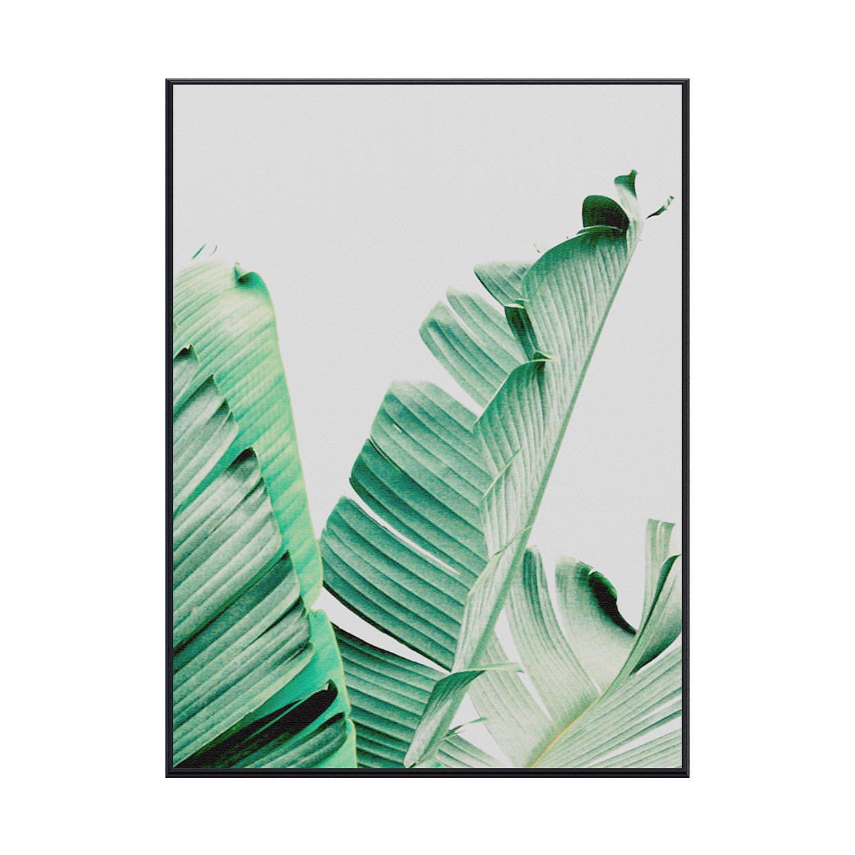 Low-Poly Banana Leaf 3D Model – Tropical Green Foliage