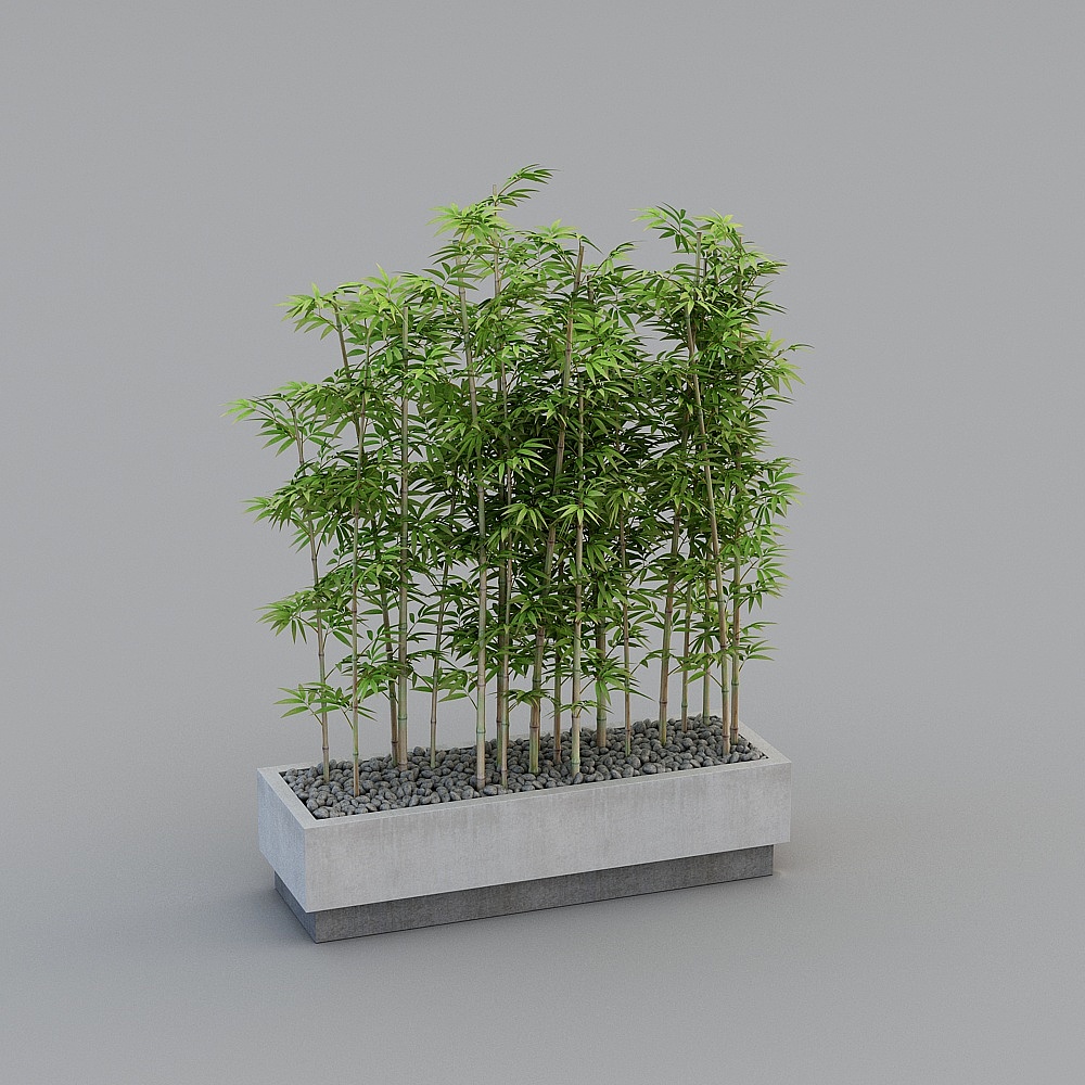 bamboo