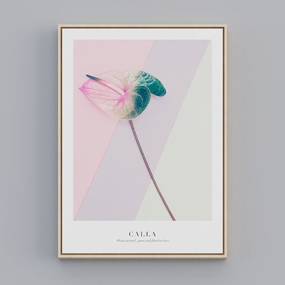 Elegant Calla Lily 3D model