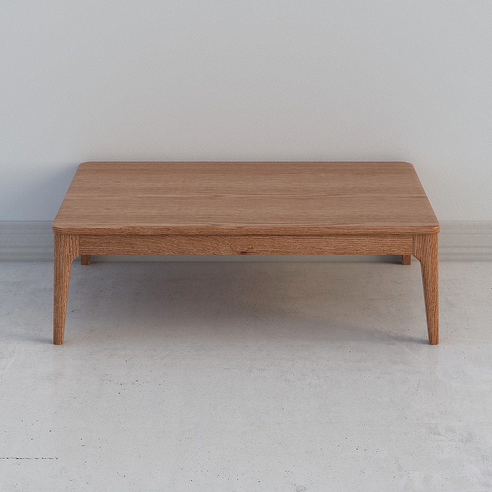 金蚂蚁 S2801E-1略長