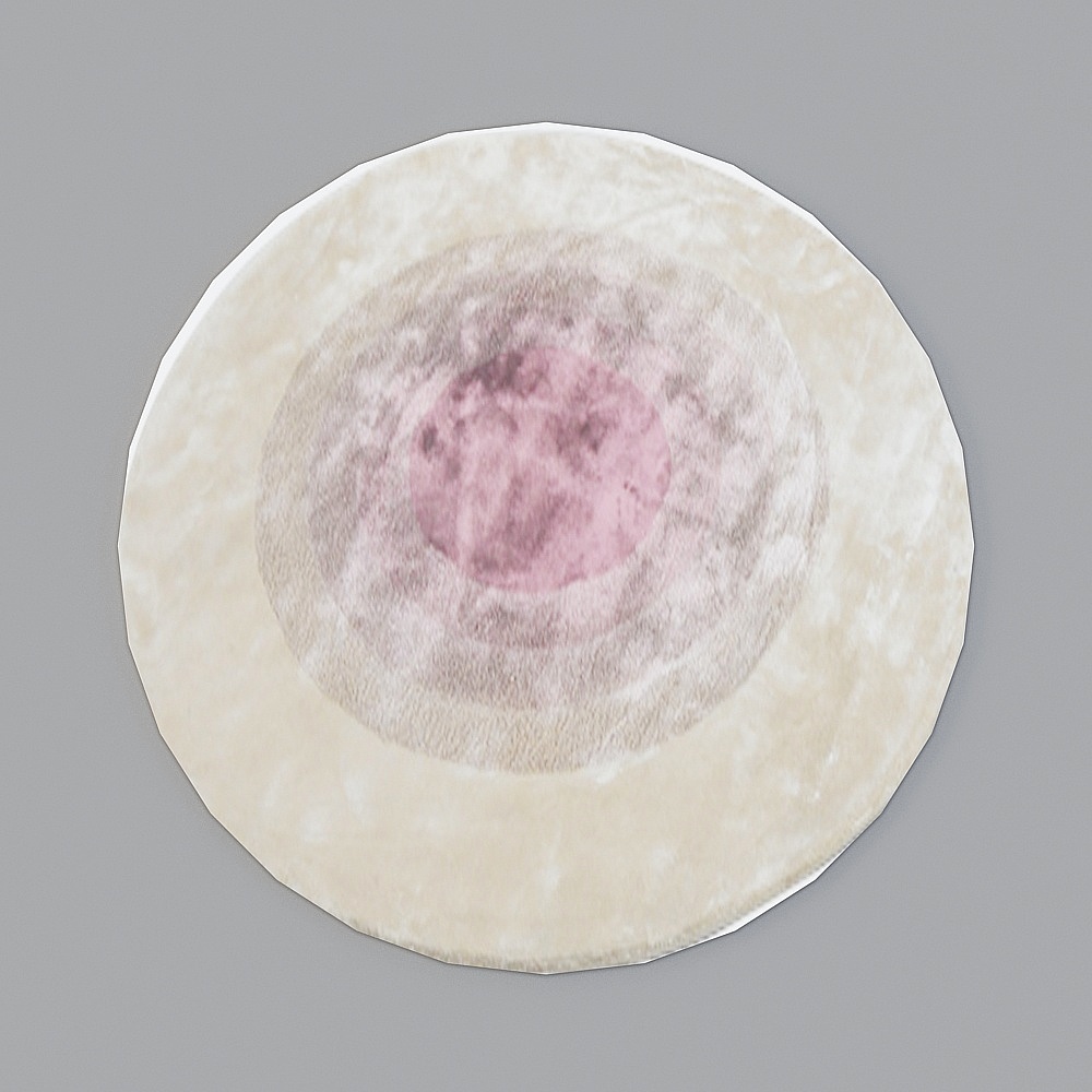Gray Round Carpet 3D Model for Home Decor