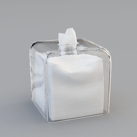 Transparent Glass Tissue Box 3D Model
