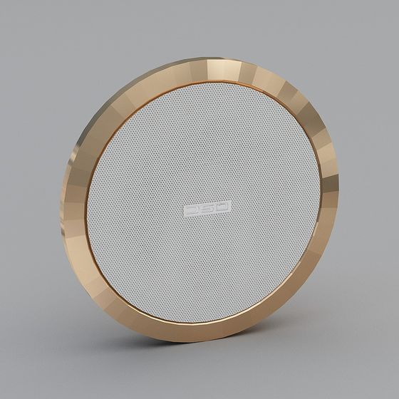 シーリングスピーカー