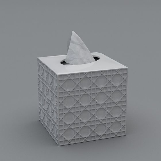 Geometric Tissue Box 3D model