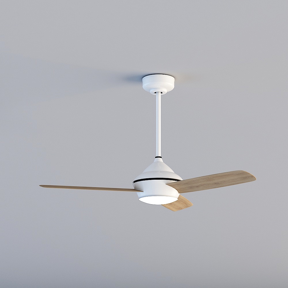 fan ceiling lamp