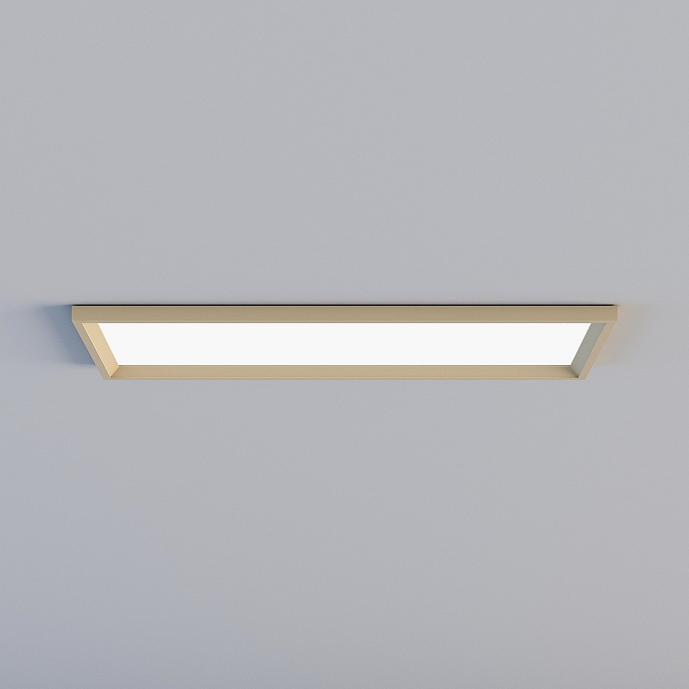 Ceiling light