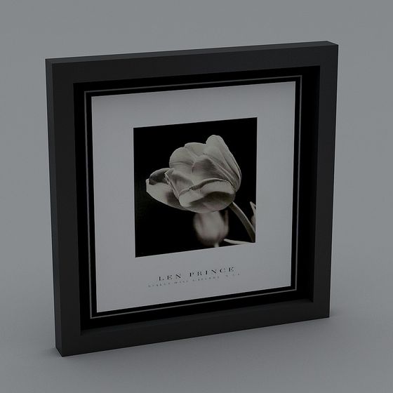 Black and White Rose Frame 3D model