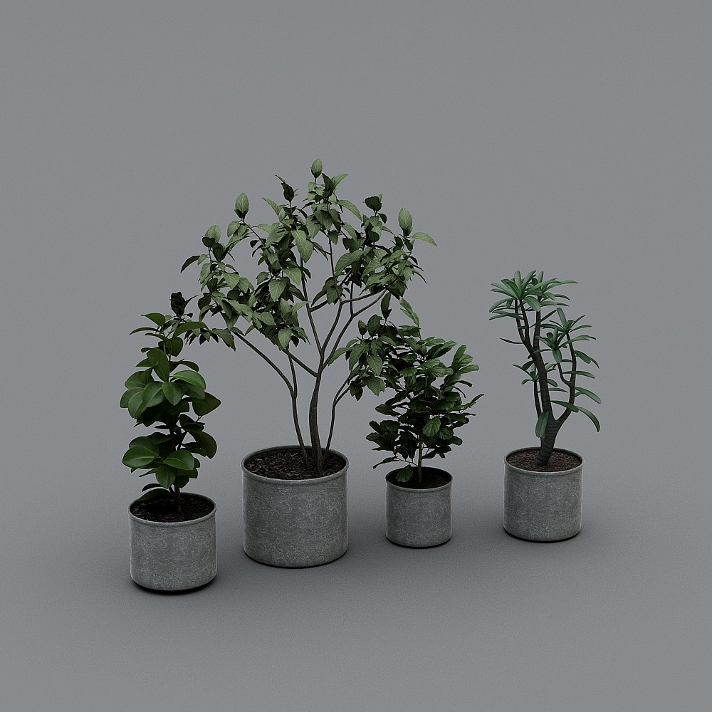Vibrant Plant Models 3D model for Natural Spaces