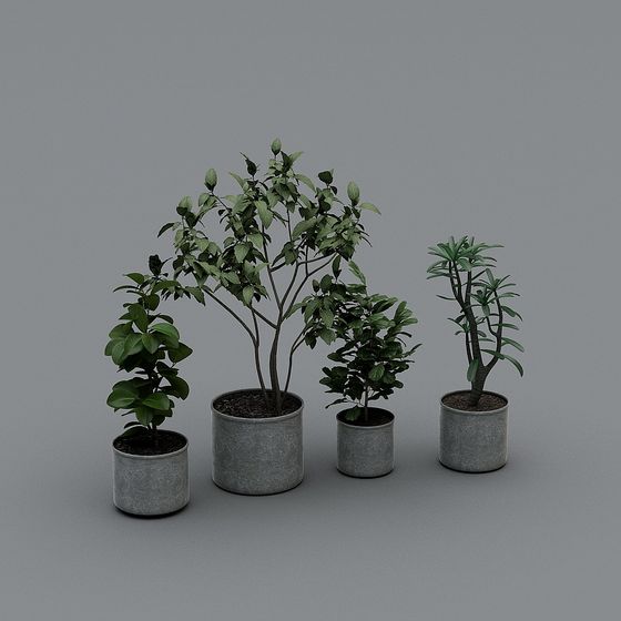 Vibrant Plant Models 3D model for Natural Spaces