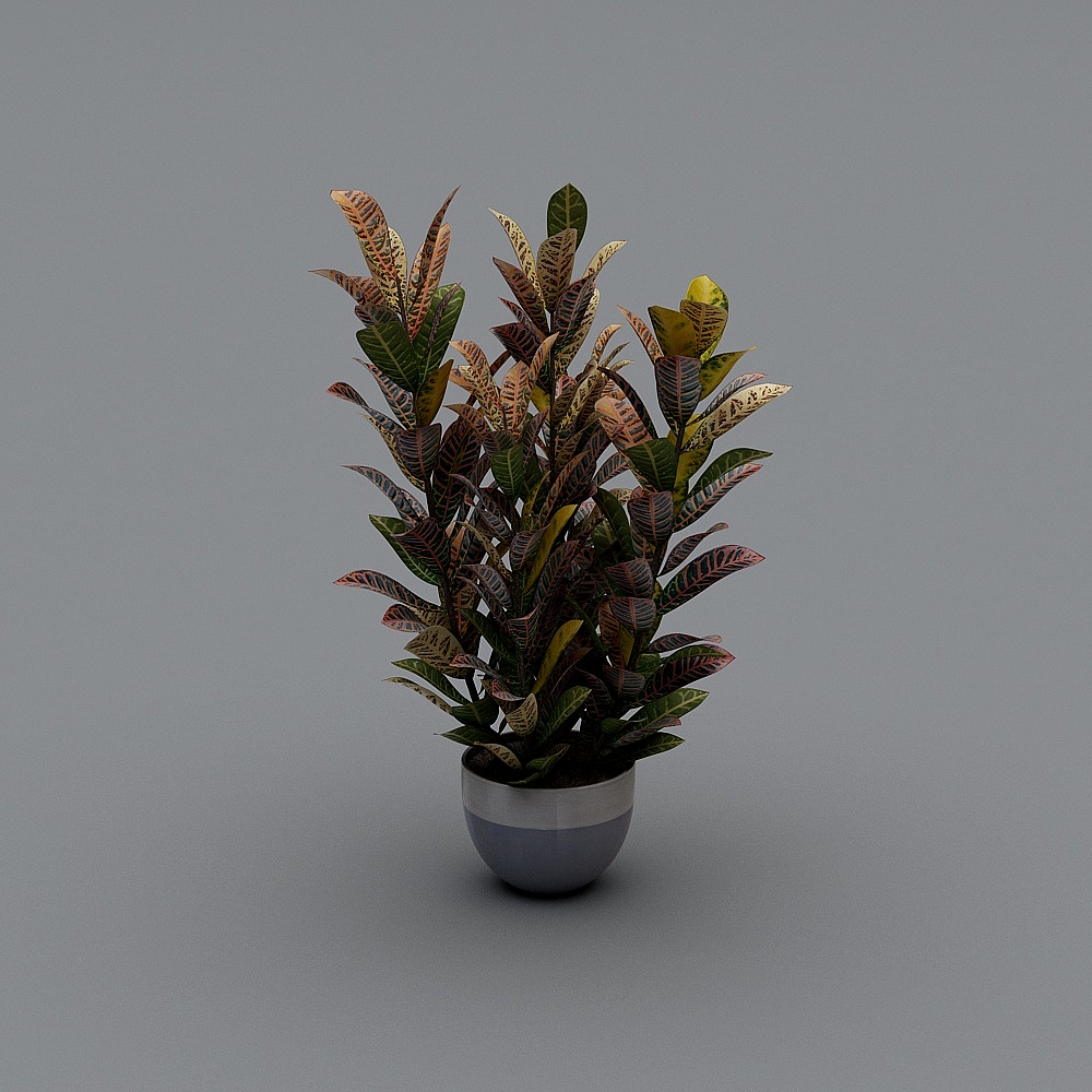 Potted Plants 4