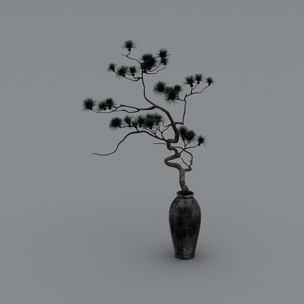 Potted plants