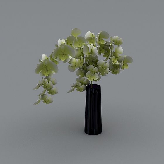 Orchid Bloom 3D Model for Creative Projects