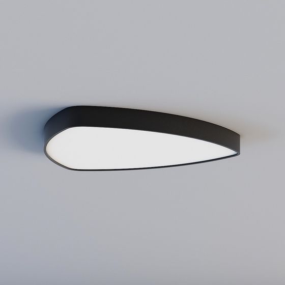 Oval Ceiling Light 3D model