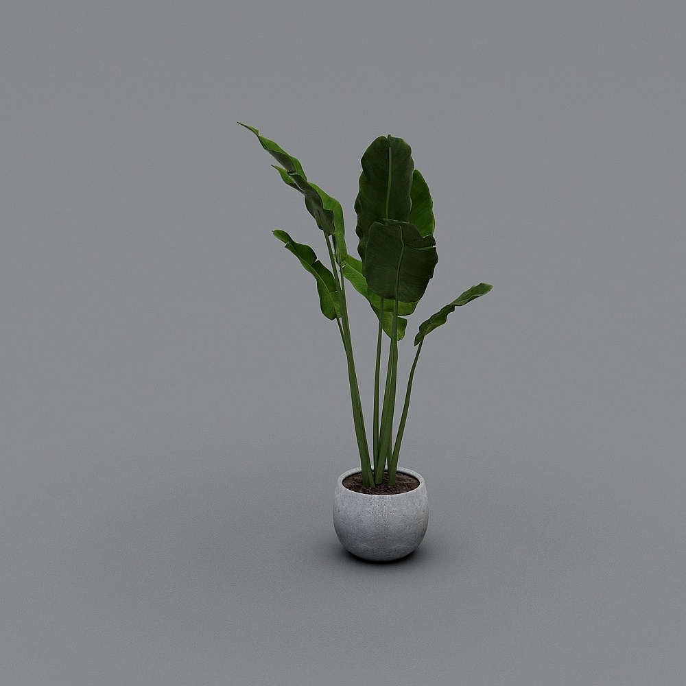 Element-Pot 25