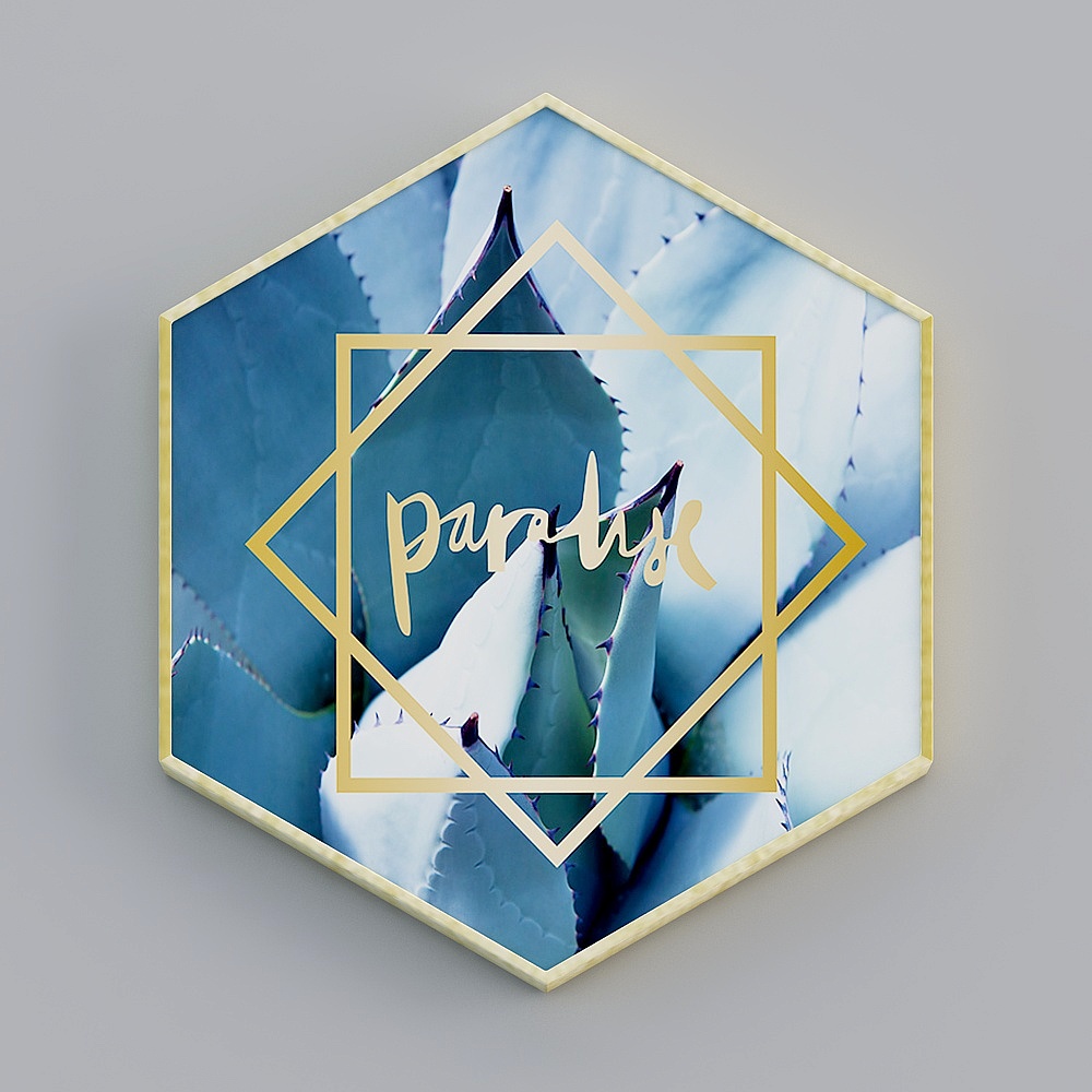 Decorative Alliance - Nordic Color - Single Positive Hexagon - Decorative Painting - CB053